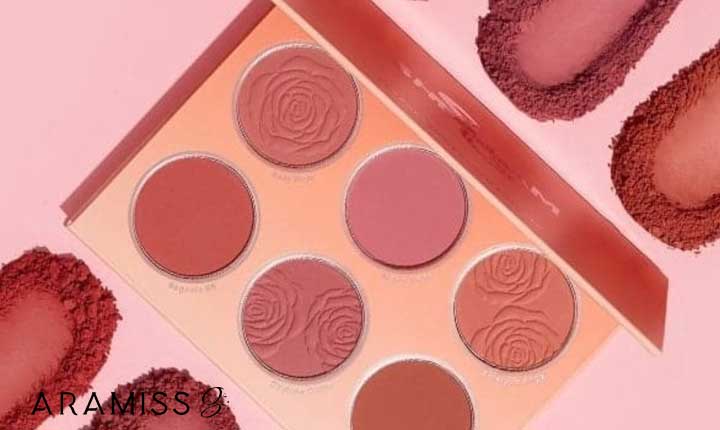 رژگونه پودری شیگلم