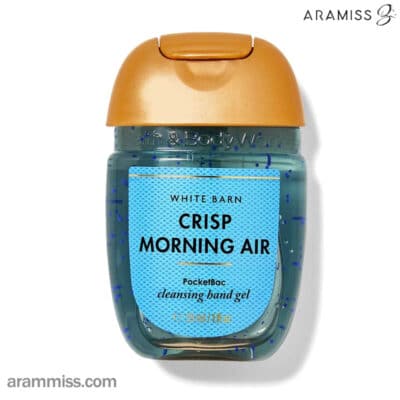 ژل ضدعفونی‌کننده دست بث اند بادی ورکس Crisp Morning Air